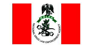 NDLEA Recruitment 2026/2027 Application Form : How to Apply/https://jobnodes.com/
